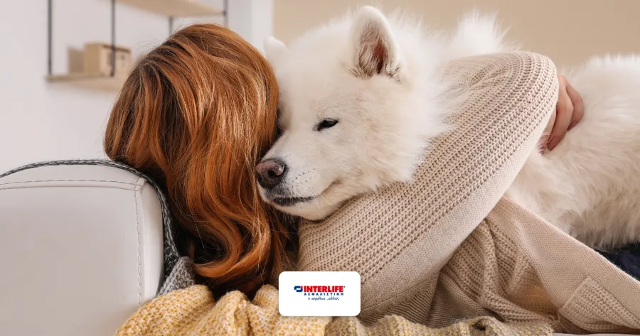 Ασφάλιση Κατοικιδίου INTERLIFE: Πώς το PETCare Plus Προστατεύει τον Σκύλο σας από Ατυχήματα και Ασθένειες