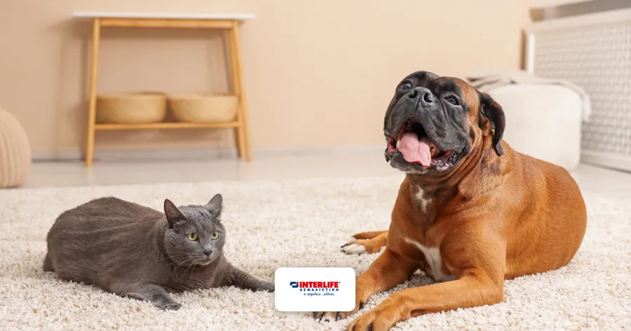 Ασφάλιση Κατοικιδίου INTERLIFE PETCare