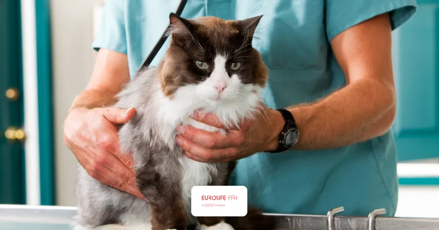 Eurolife My Happy Pet Plus: Προληπτική Φροντίδα & Check-up Κατοικίδιων